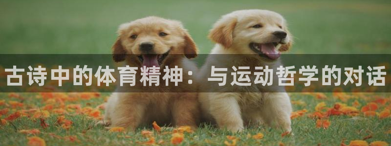 米兰体育官方正版app集团：古诗中的体育精神：与运动