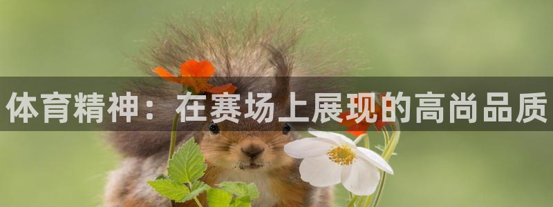 米兰体育官网下载招商电话：体育精神：在赛场上展现的高