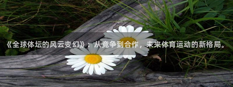 米兰体育官方正版app五金厂：《全球体坛的风云变幻》