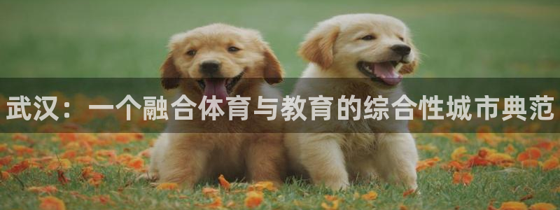 米兰体育官网下载招商电话是多少号码：武汉：一个融合体