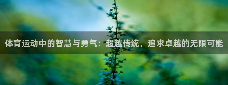 注册米兰体育官方正版app：体育运动中的智慧与勇气：