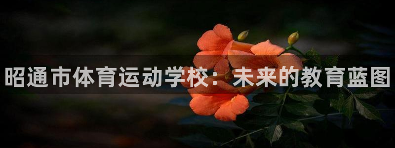 米兰体育官方正版app娱乐首页官网下载：昭通市体育运动学校：