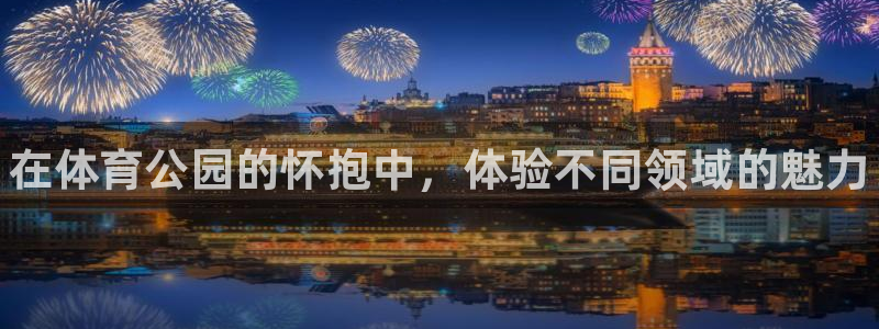 米兰体育官方正版app娱乐首页网站大全：在体育公园的