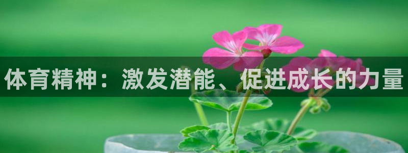 米兰体育官方正版app新能源：体育精神：激发潜能、促
