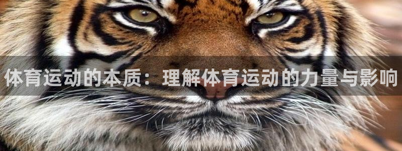 米兰体育官方正版app集团官网首页网址：体育运动的本质：理解
