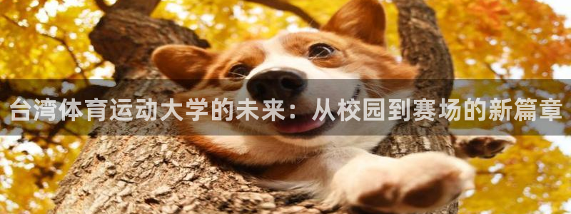 海南米兰体育官网下载：台湾体育运动大学的未来：从校园到赛场的