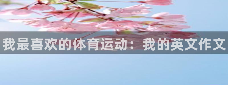 米兰体育官方正版app集团E.ON：我最喜欢的体育运动：我的
