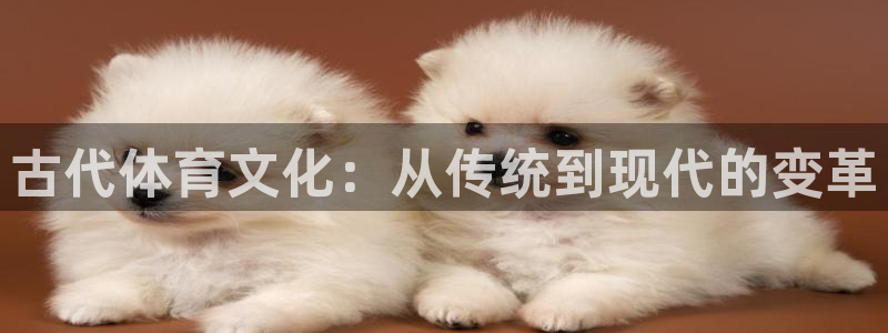 米兰体育官网下载招商：古代体育文化：从传统到现代的变革