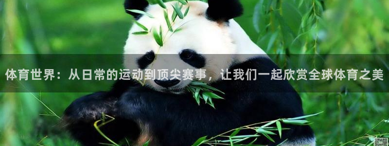 米兰体育官方正版app集团官网网址