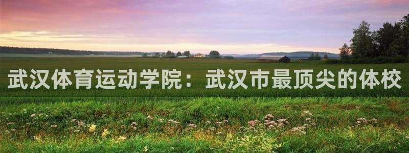 米兰体育官网下载招商电话地址是多少：武汉体育运动学院：武汉市