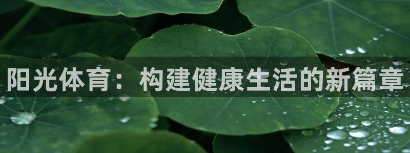 米兰体育官方正版app娱乐是那个系列的台子：阳光体育：构建健