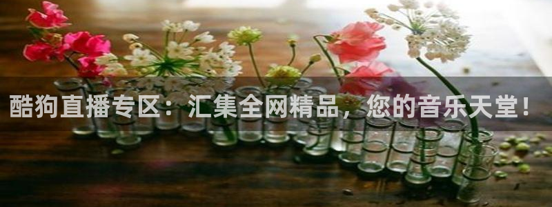 857体育视频直播：酷狗直播专区：汇集全网精品，您的音乐天堂！