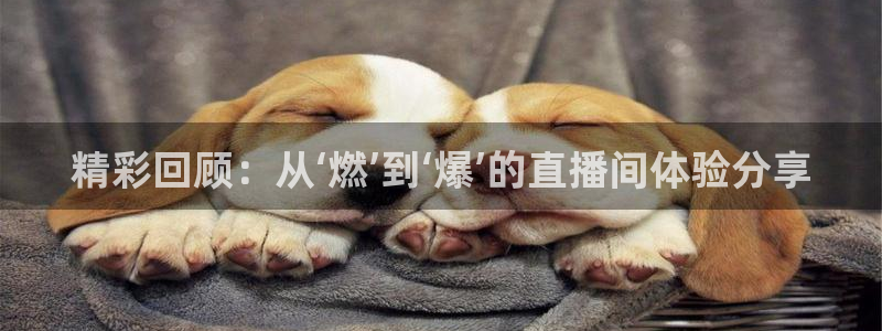 857篮球直播体育：精彩回顾：从‘燃’到‘爆’的直播间体验分享