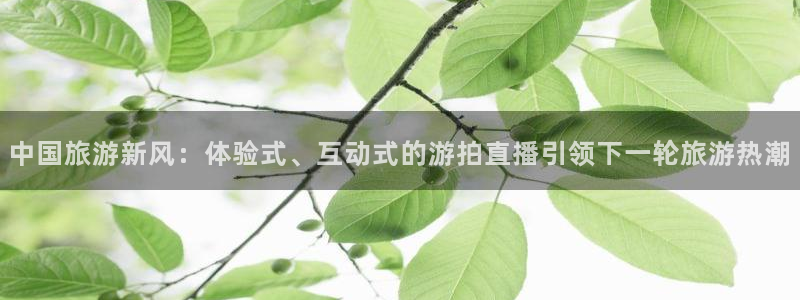 857体育直播平台：中国旅游新风：体验式、互动式的游拍直播引领下一轮旅游热潮