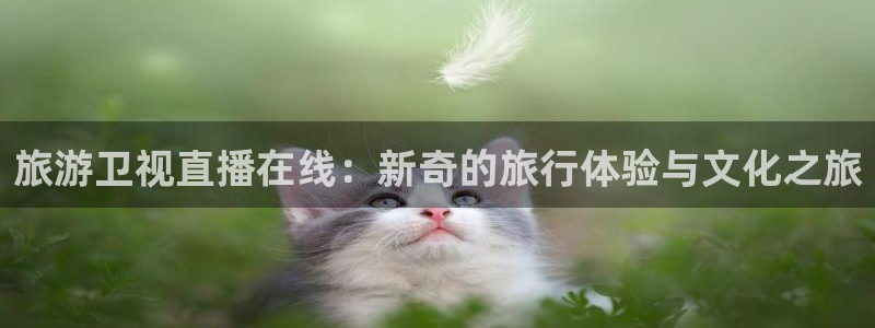 857 体育直播：旅游卫视直播在线：新奇的旅行体验与文化之旅