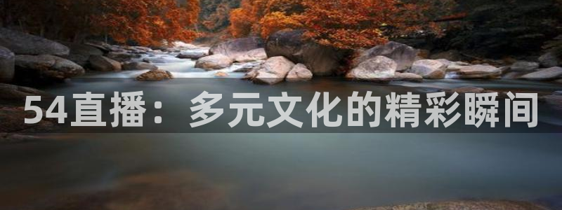 857直播体育nba回放：54直播：多元文化的精彩瞬间