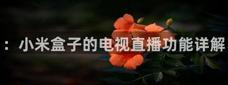 857直播体育足球：：小米盒子的电视直播功能详解
