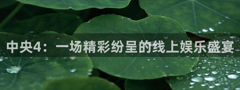857直播nba在线观看：中央4：一场精彩纷呈的线上娱乐盛宴