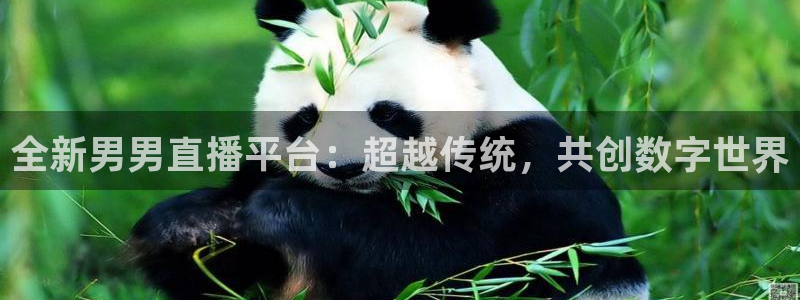 857 体育直播：全新男男直播平台：超越传统，共创数字世界