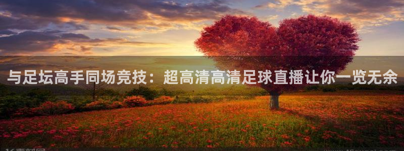 857直播体育官网：与足坛高手同场竞技：超高清高清足球直播让你一览无余