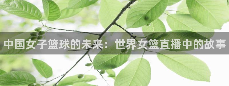 857体育直播免费在线观看：中国女子篮球的未来：世界女篮直播中的故事